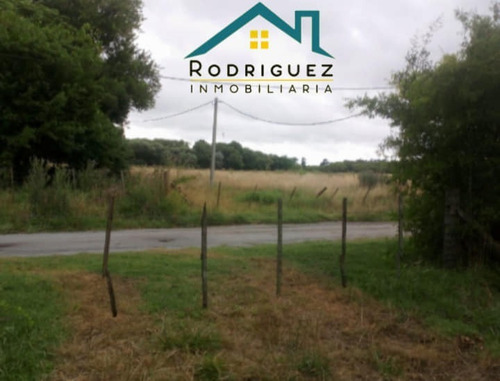 Imagen 5 de 8 de Campo 8 Hectáreas Las 3 Lomas En Gral: Madariaga