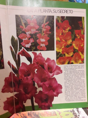Gran Enciclopedia Sarpe Plantas Y Flores Completa 120 Fasc. | MercadoLibre Gran Enciclopedia Sarpe Plantas Y Flores Completa 120 Fasc. | MercadoLibre