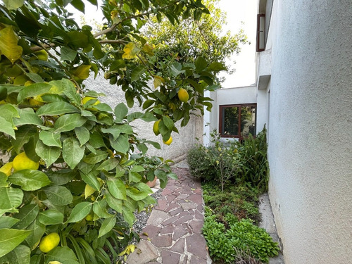Imagen 8 de 22 de Colegio Alemán, Cocina Con Isla, Quincho