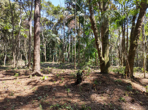 Terreno, Área Total: 3.100 M², Com Platô, 70% De Área Aproveitável, Próx Est Borba Gato, Bairro Itaquaciara, Itapecerica Da Serra-sp