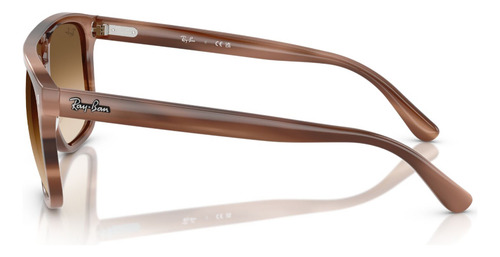 Lentes De Sol Havana Degradados L Ray-ban Rb2213142351