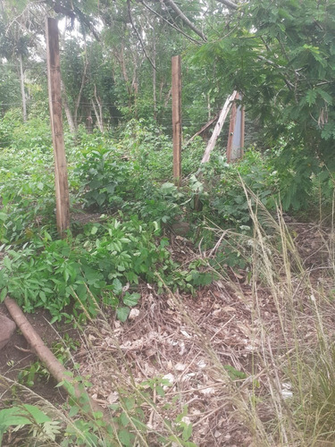 Terreno Cerca A La Universidad Upeu