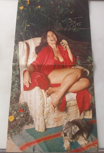 Lp Fafá De Belém - Cantiga Prá Ninar Meu Namorado C/ Encarte (Usado)