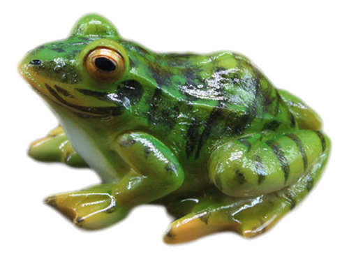 Estatua De Paisaje De Rana Sapo Sapos Anfibios Ranas