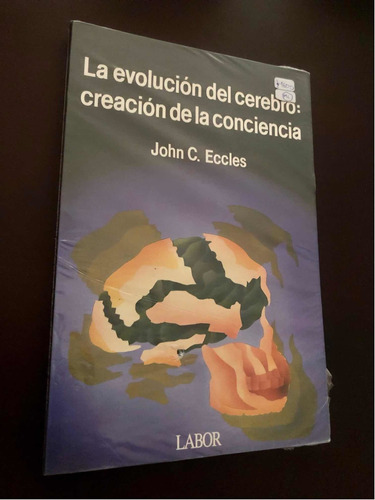 Libro La Evolución Del Cerebro: Creación De La Conciencia