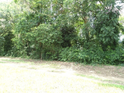Imagem 12 de 30 de Vendo Área Na Estiva Em Louveira Com 150 Mil M². - Ar00006 - 2586566