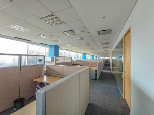 Imagen 8 de 30 de Oficinas En Alquiler 1060 M2 En Edificio Lumina Thames San Isidro, Certificacion Leed Green Building