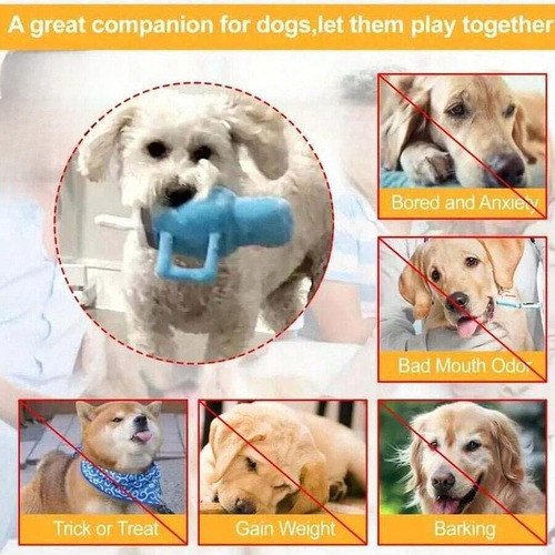 Cachorro Squety Puppy Puppy Mastigando O Jogo De Caça Azul