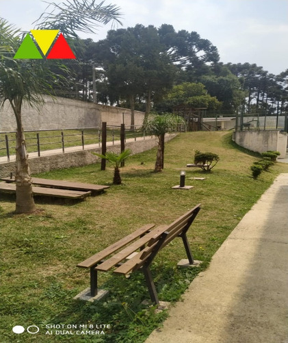 Imagem 5 de 6 de Apartamento - Ap00445 - 68751198