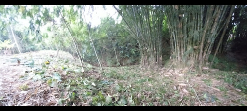 Imagen 14 de 14 de Finca-quinta De 3 Hectareas.