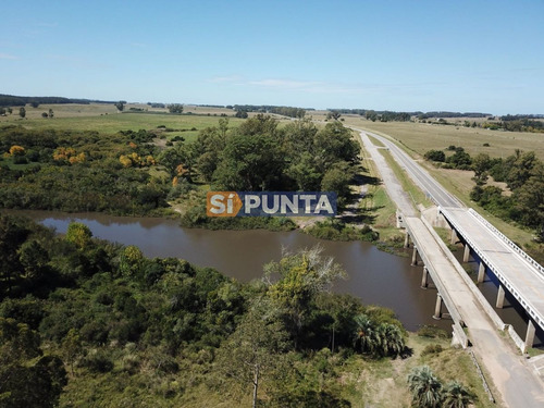Imagen 4 de 13 de Campo En Garzón Venta Turístico