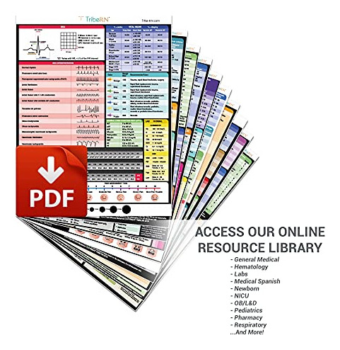 Tarjetas De Identificación Para Enfermeras - Badgeguru - 52