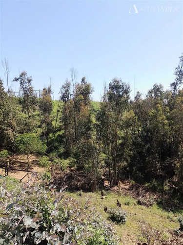 Sitio En Venta En Quintero