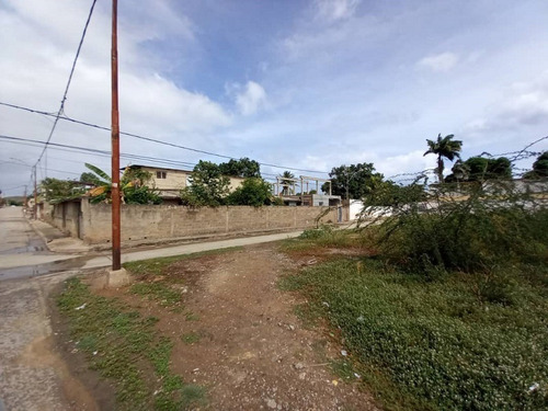 Imagen 3 de 5 de En Venta Terreno Muy Bien Ubicado, En San Fernando De Los Robles Municipio Maneiro