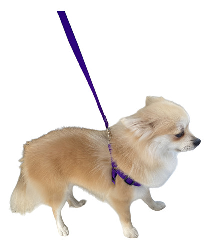 Peitoral Coleira Cão Bulldog Frances Cachorro Pequeno P Roxo