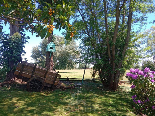 Casa En Venta De 4 Dorm. En Linares