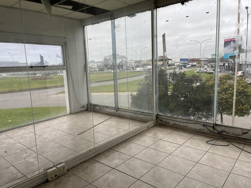 Imagen 14 de 17 de Alquiler Importante Local/deposito En Mar Del Plata !