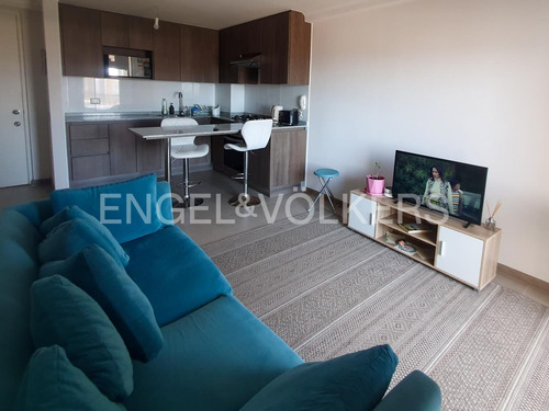 Arriendo Moderno Departamento En Faro Norte