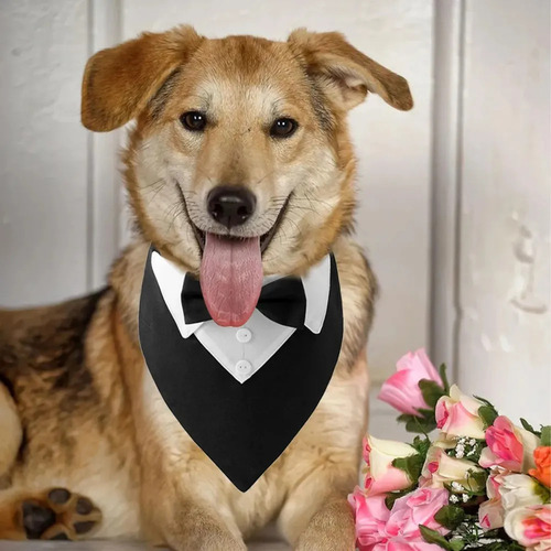 Kl Pajarita Para Perro Collar De Perro Para Boda Collar De