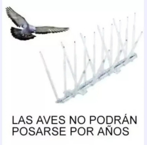 16 Puas Pinches =8 Mts Raven Antipose Paloma Ave Loro Plaga