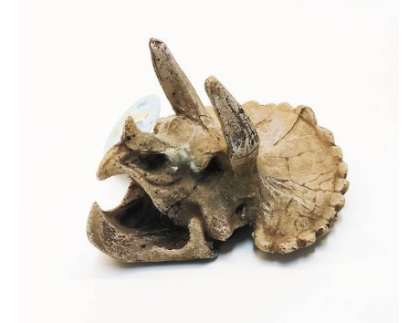 Adorno Para Pecera Calavera Triceratops Resina 15x12x10