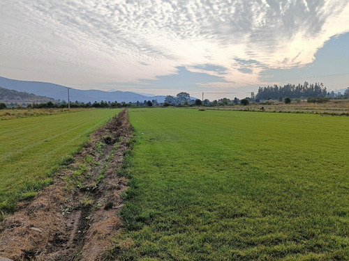 Imagen 9 de 10 de Parcelas 5.000 M2, En Isla De Maipo