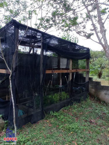 Imagem 26 de 29 de Excelente Chácara De 2.000 Com Fundos Para O Rio À Venda Em Guararema. - Ch01041 - 70731159