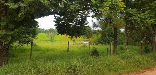 Imagem 6 de 12 de Rural Chacara Com 2 Quartos - 103917-v