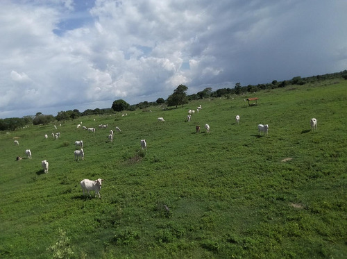 Imagem 13 de 14 de Rural, Zona Rural, Nova Crixás - Go | 68850 - Go - Ch0063_abi