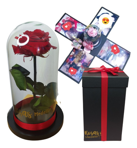 Rosa Preservada Roja Premium Caja Lujo Y Fotos Personalizada
