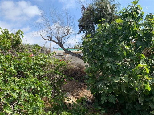 Imagen 8 de 12 de Sitio En Venta En La Serena