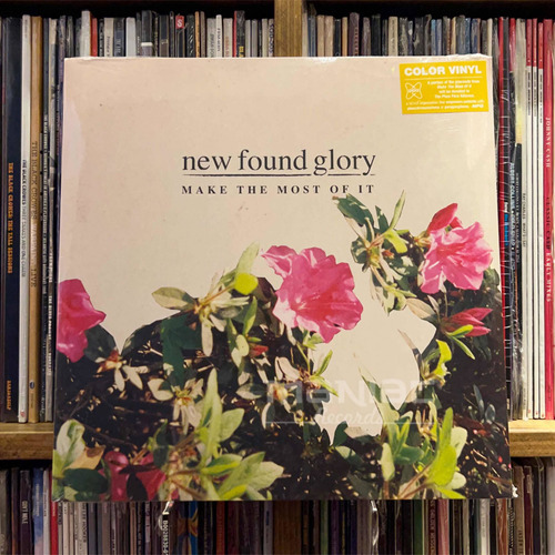 New Found Glory Make The Most Of It Vinilo