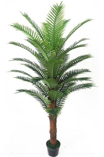 Palmera - Planta Artificial De 1,7m