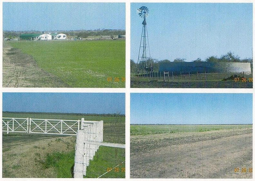 Imagen 4 de 5 de Vende Campo Ganadero - Cría-recría