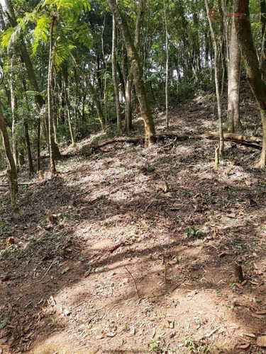 Imagem 5 de 26 de Terrenos Em Loteamento Fechado À Venda Em Mairiporã/sp - Compre O Seu Terrenos Em Loteamento Fechado Aqui! - 1452335