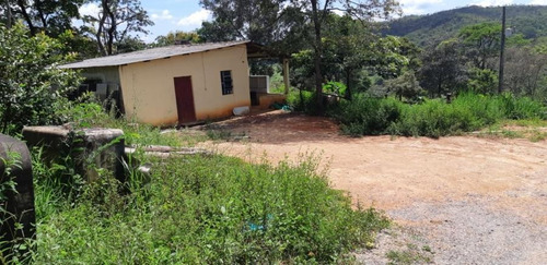 Imagem 13 de 15 de Terreno Para Venda Em Ribeirão Das Neves, Hortinha - T31_1-1023924
