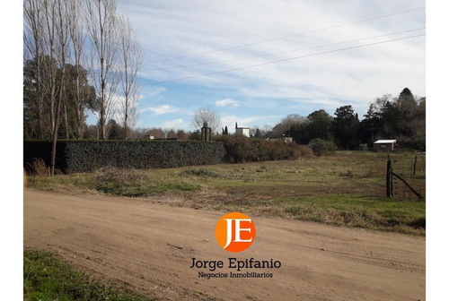 Imagen 1 de 1 de Terreno - Junin