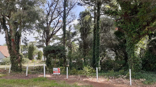 Imagen 8 de 8 de Lote Multifamiliar Pinamar Mar De Ostende 1039 M2 A 250 Mts Del Mar Premios Esquina