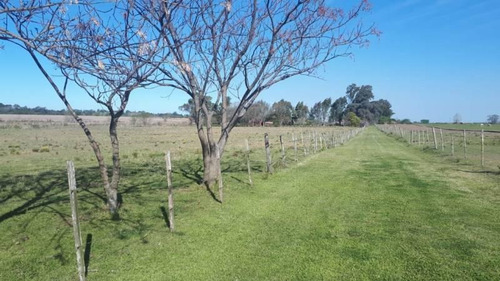 Imagen 11 de 30 de Venta - Campo En Cardales - Bayugar Negocios Inmobiliarios