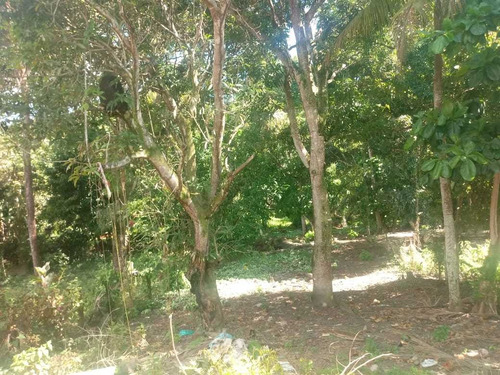 Imagem 4 de 4 de Oportunidade Investimento Lote Em Cumuruxatiba Prado Bahia