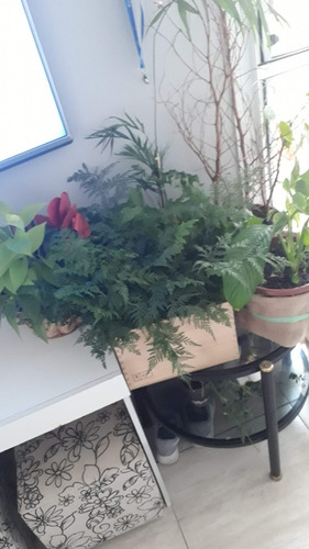 Imagem 6 de 21 de Apartamento 2 Quartos Cotia - Sp - Jardim Ísis - 0485