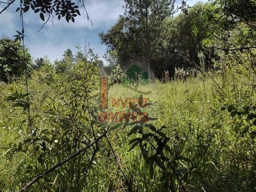 Imagem 3 de 5 de Terreno - Ref: 5463 - V-5463