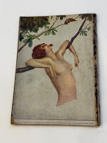 Revista Media Noche. Lote De 5. 1926. Teatro. Humor. Erótica (Usado)