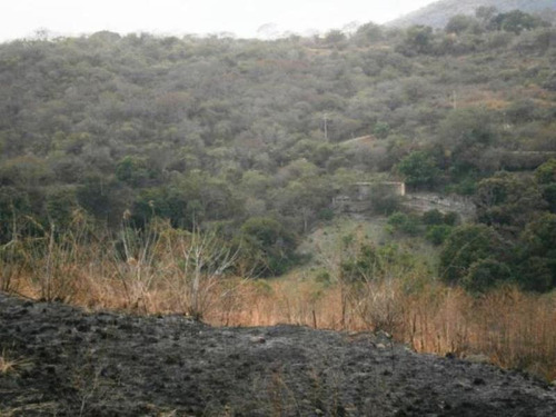 Imagen 17 de 23 de Venta Terreno Xochitepec Morelos Valle Dorado