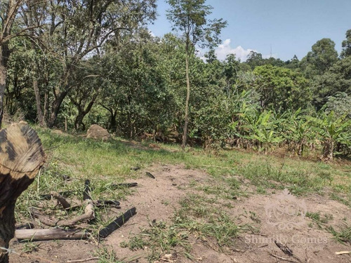 Imagem 9 de 11 de 2.100 M², Belíssimo Terreno Próximo A Rodovia !!