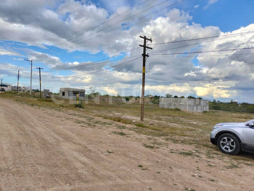 Se Renta Terreno Carr Fed 49 Rio Grande Zacatecas