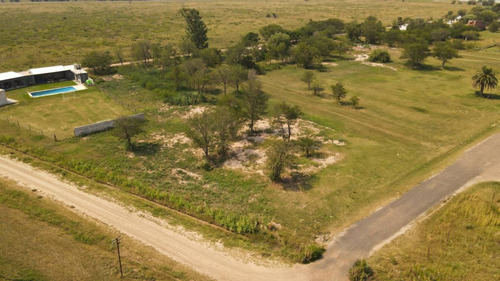 Terreno - Lote - 1930 M2 - Luis Palacios