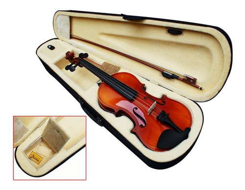 Violin Profesional Tamaño 4/4 Con Alma Y Accesorios Regalos