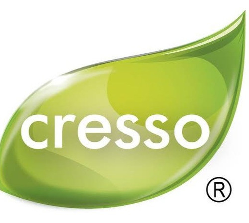 Strategy Shampoo Cabellos Grasos