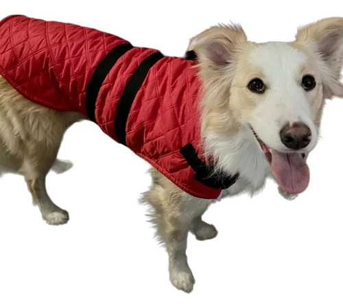 Capa Para Perro Impermeable Capitoneada Con Correa Regulable